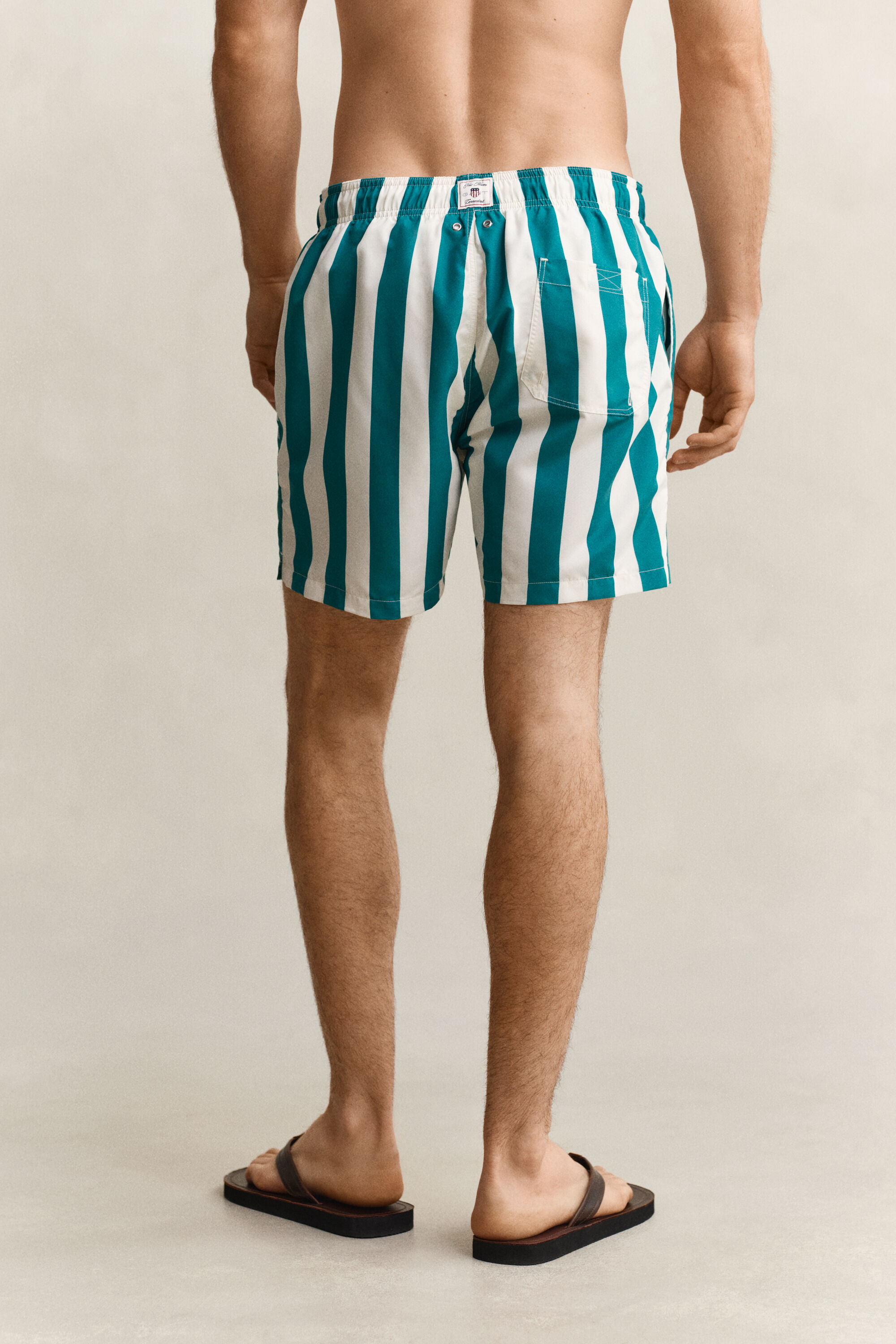 Block Striped Swim Shorts