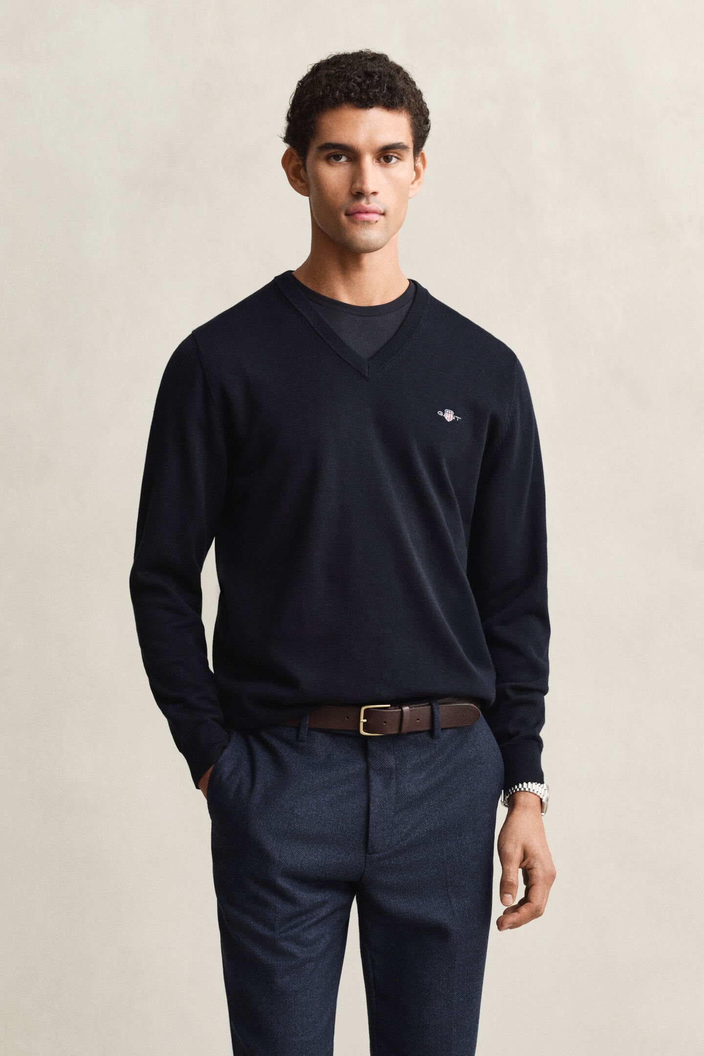Classic Cotton V-Neck Sweater