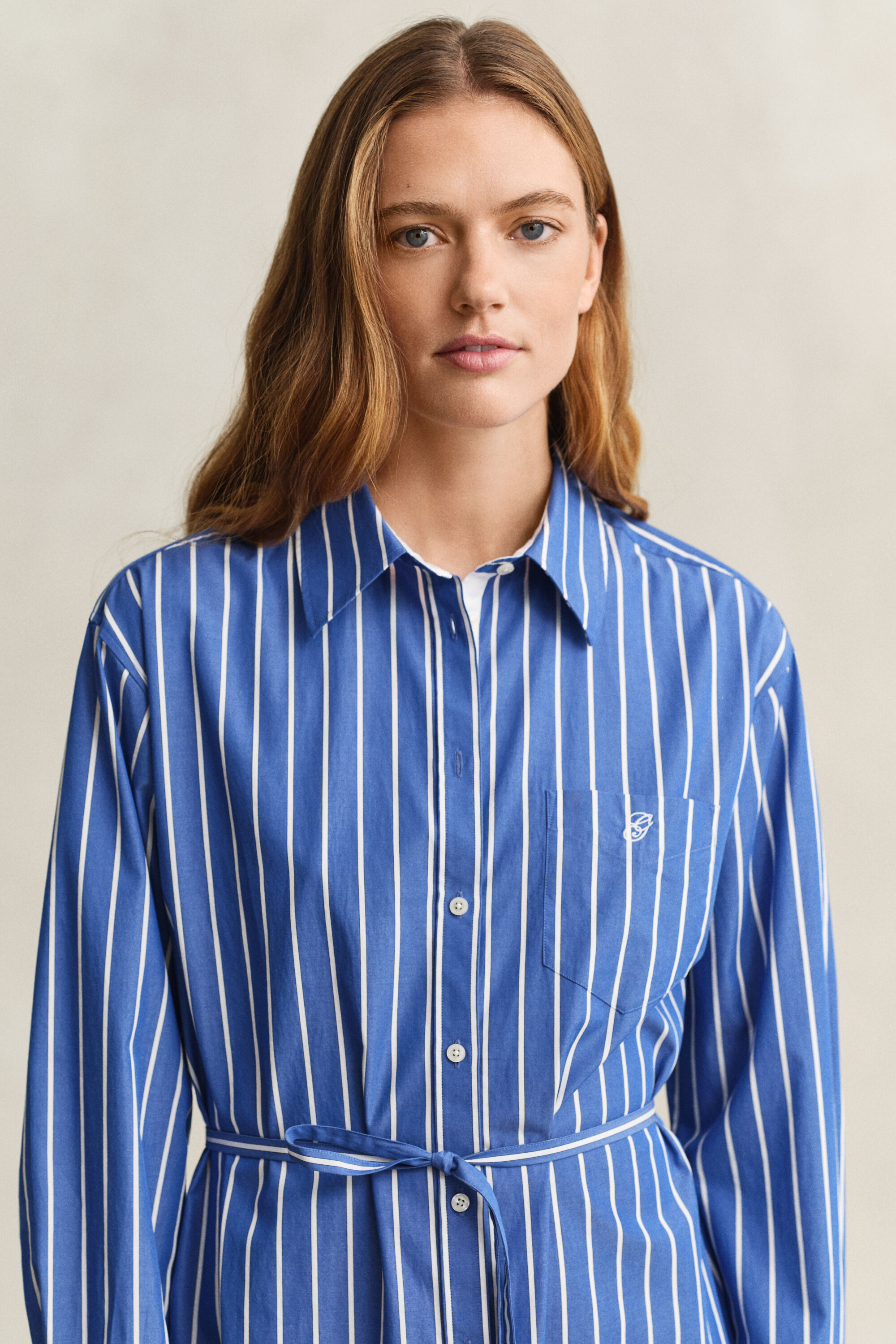 Striped Classic Poplin Dress