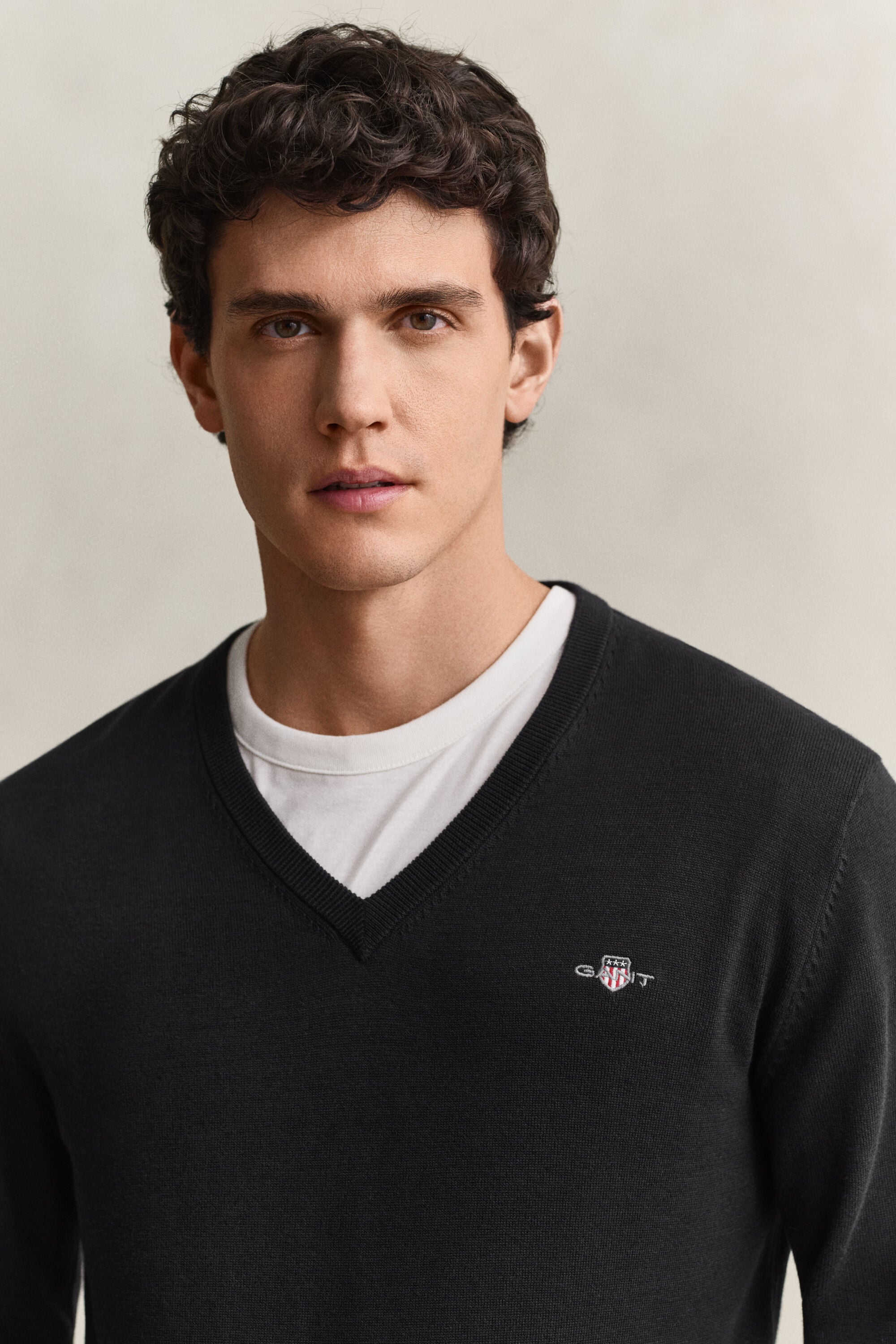Classic Cotton V-Neck Sweater