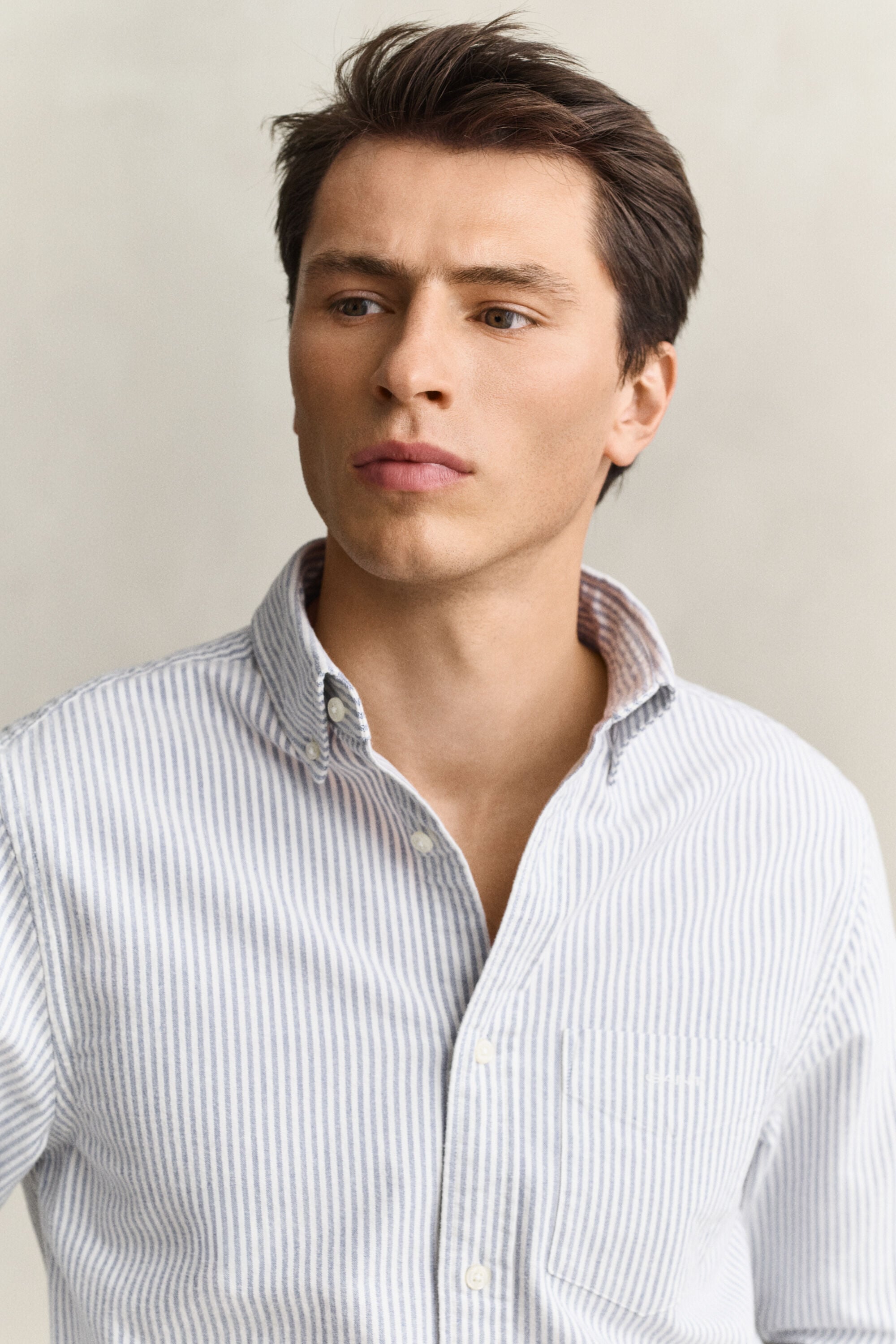 Striped Brushed Oxford Shirt