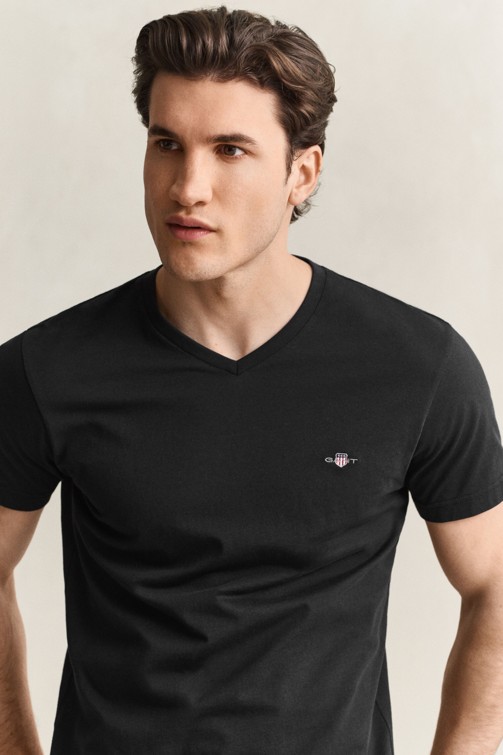 Slim Fit Shield V-Neck T-Shirt