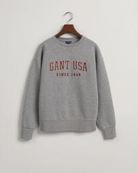 USA Graphic Crew Neck Sweatshirt