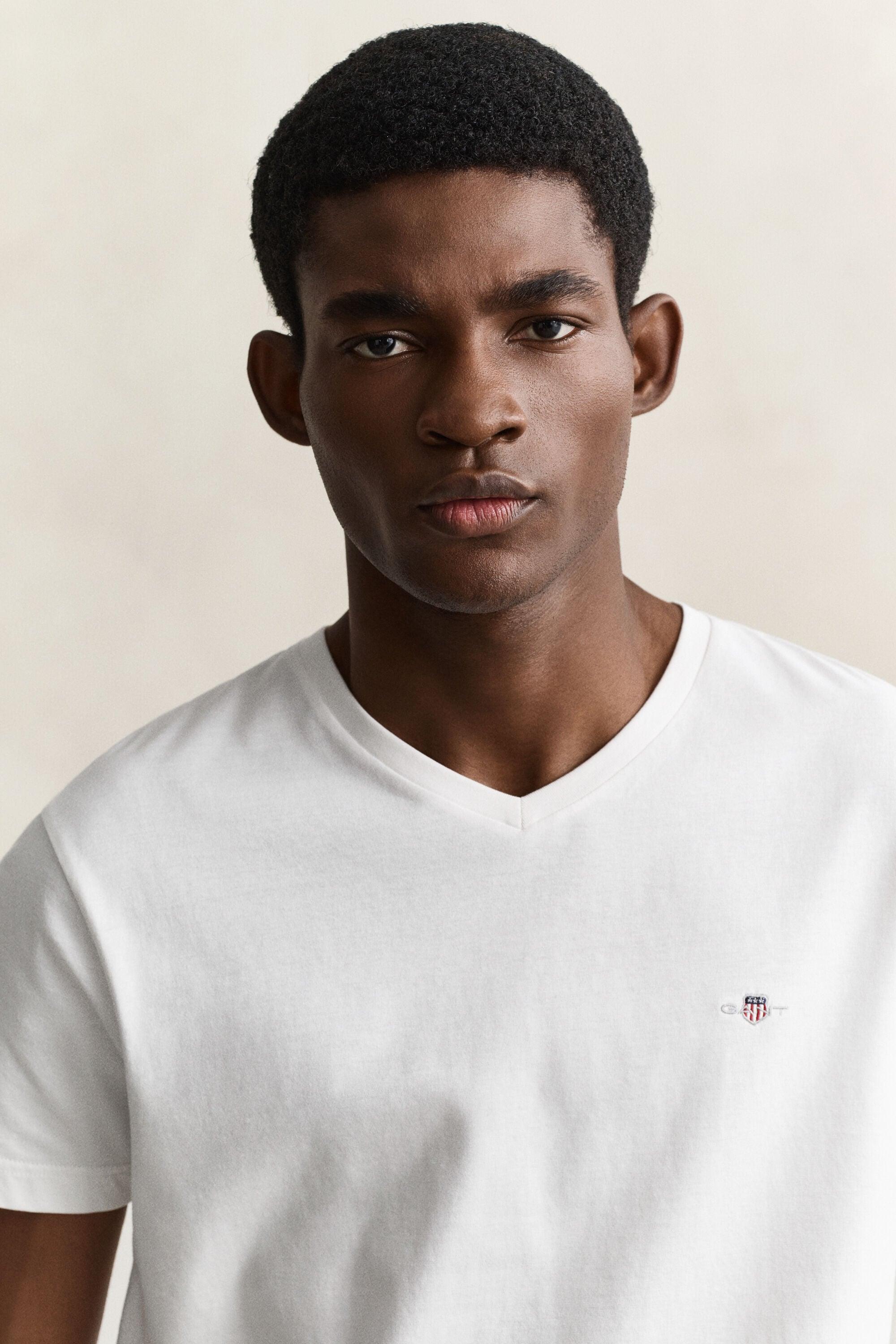 Shield V-Neck T-Shirt
