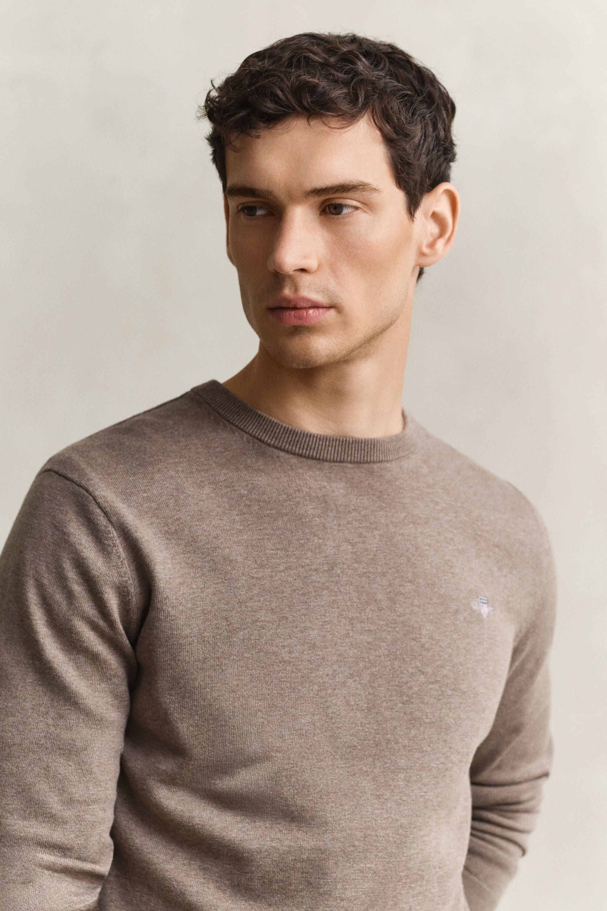 Classic Cotton Crew Neck Sweater