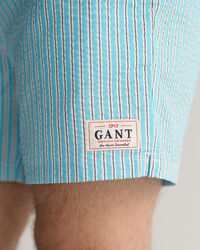 Classic Fit Seersucker Swim Shorts