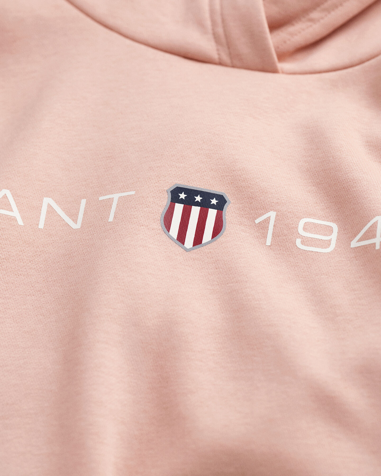 Archive Shield Print Hoodie