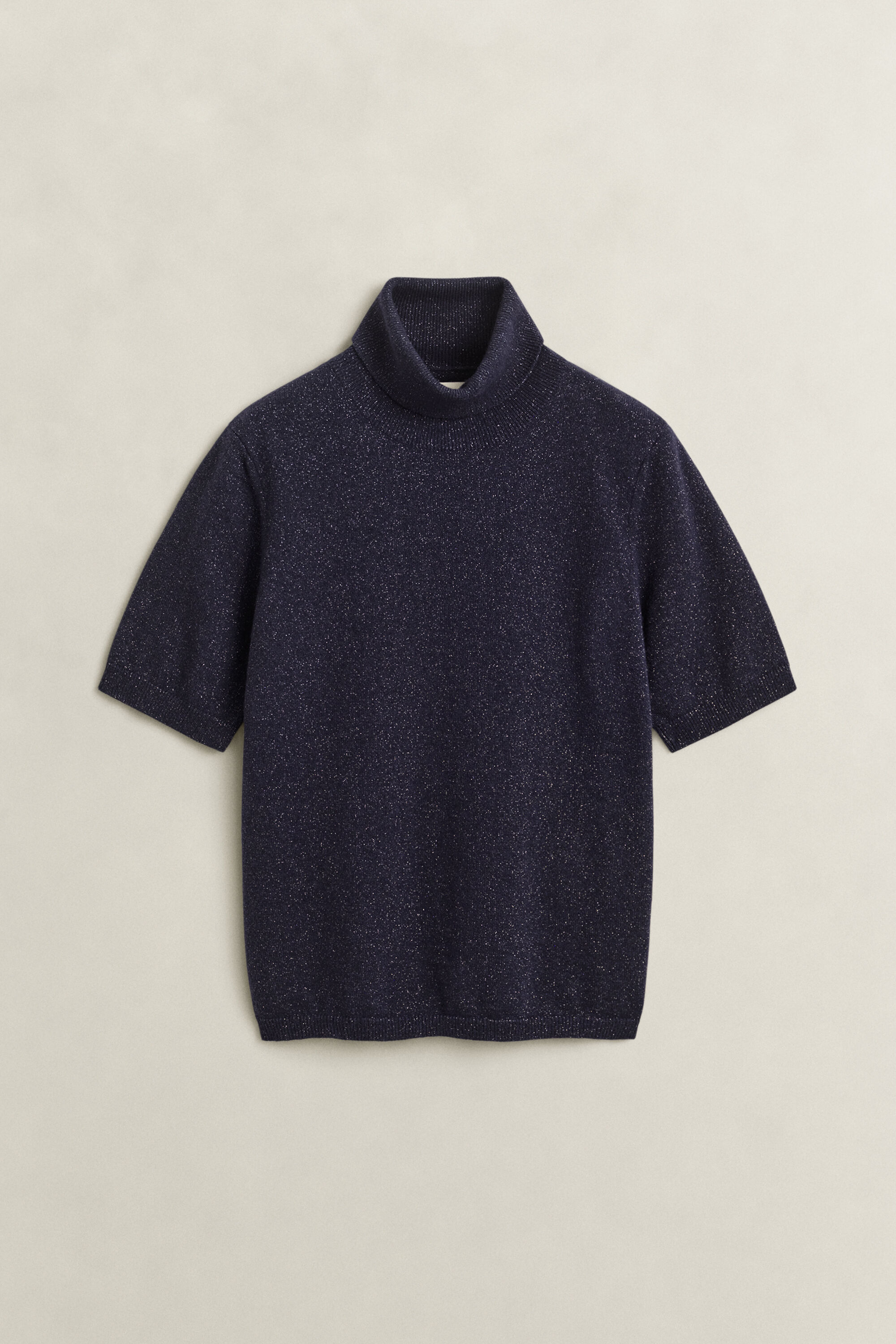 Metallic Wool Blend Turtleneck Sweater