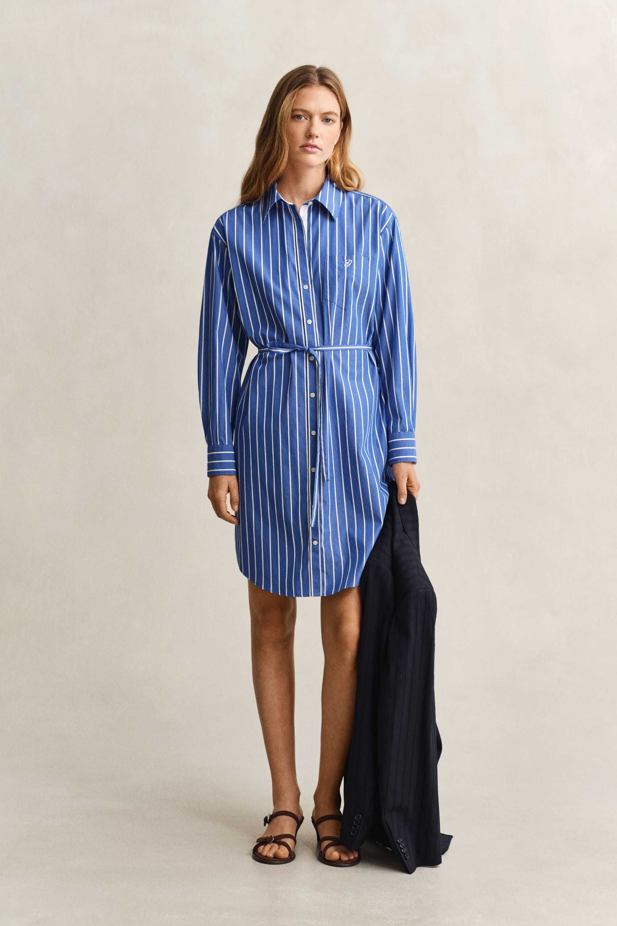 Striped Classic Poplin Dress