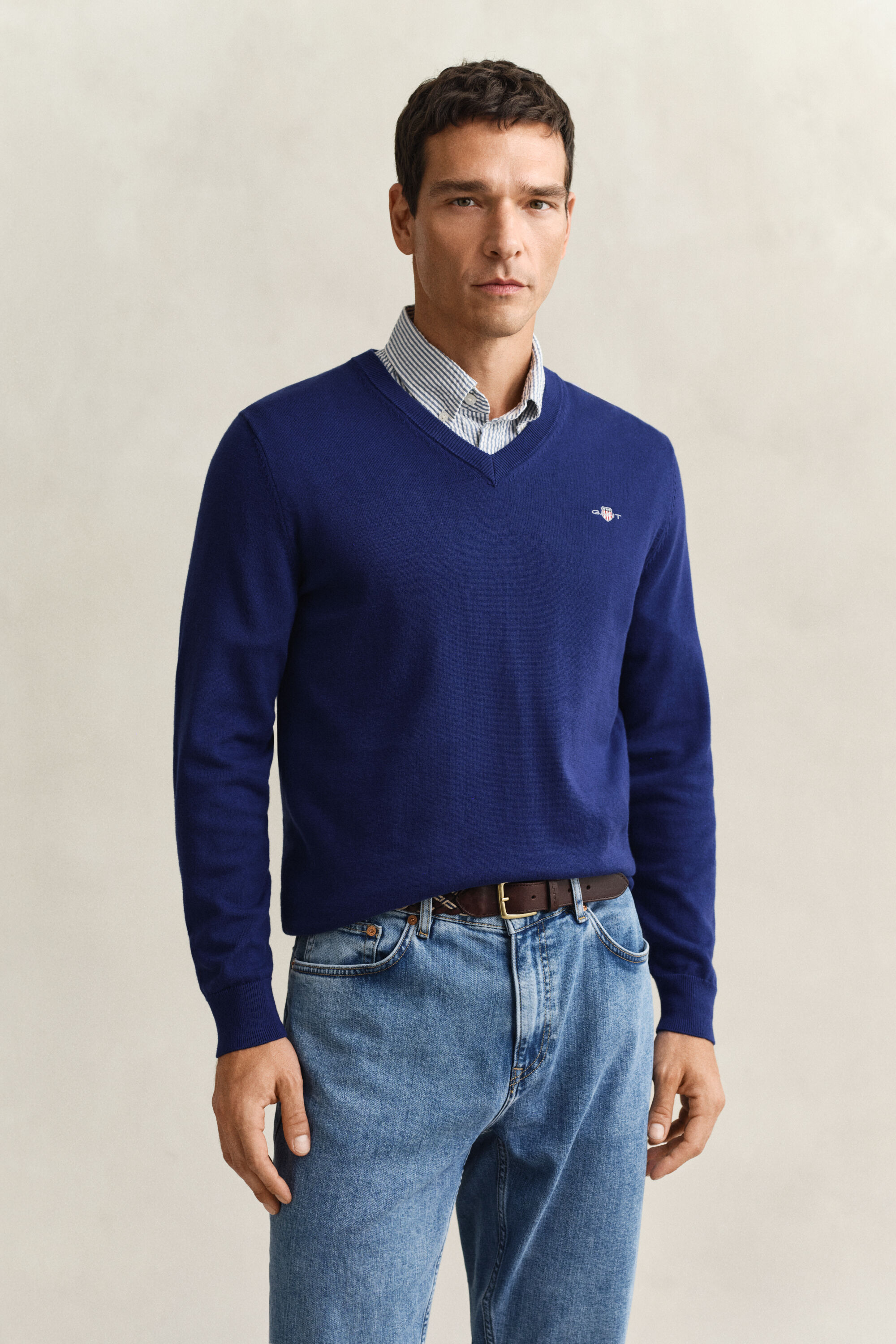 Classic Cotton V-Neck Sweater