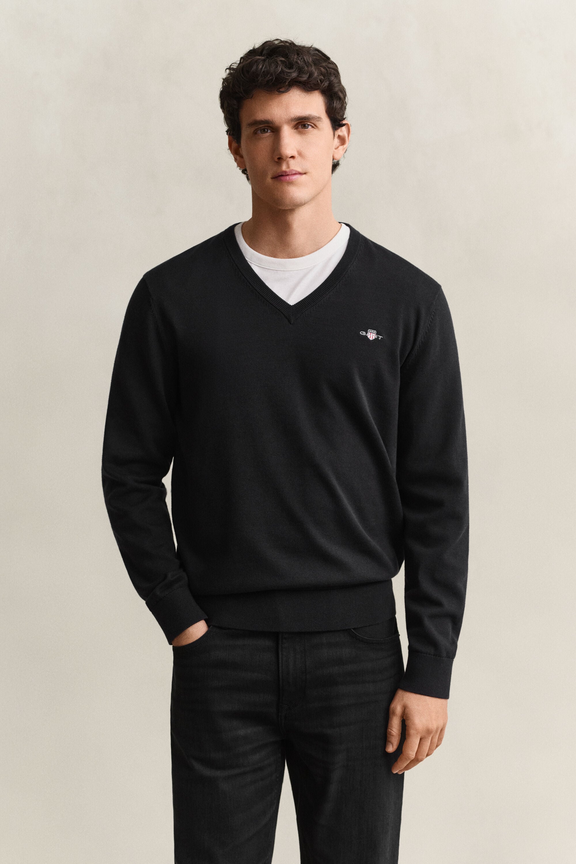 Classic Cotton V-Neck Sweater