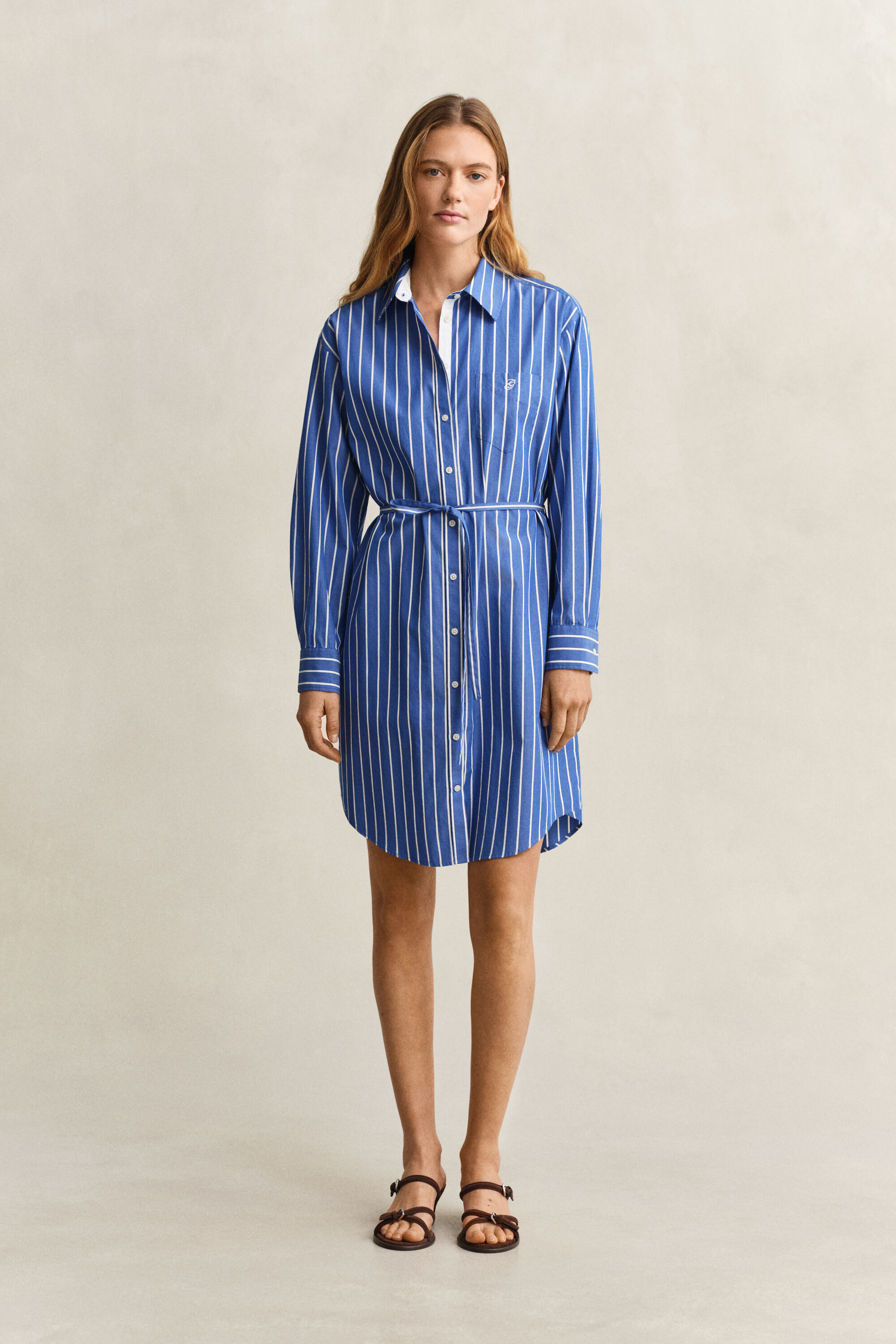 Striped Classic Poplin Dress