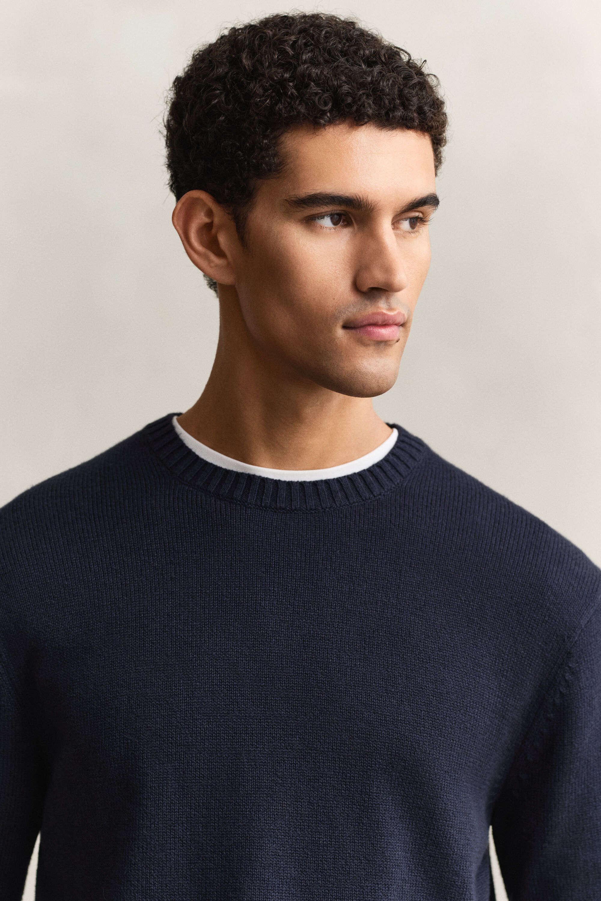 Cotton Blend Crew Neck Sweater