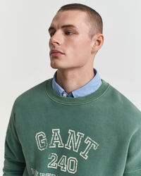 Graphic Crew Neck Sweatshirt