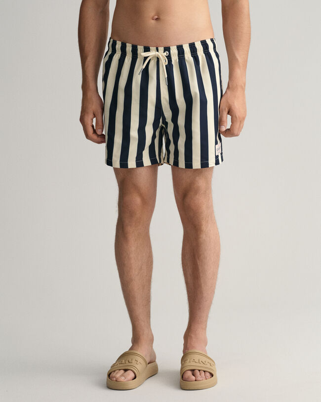 Classic Fit Block Stripe Swim Shorts