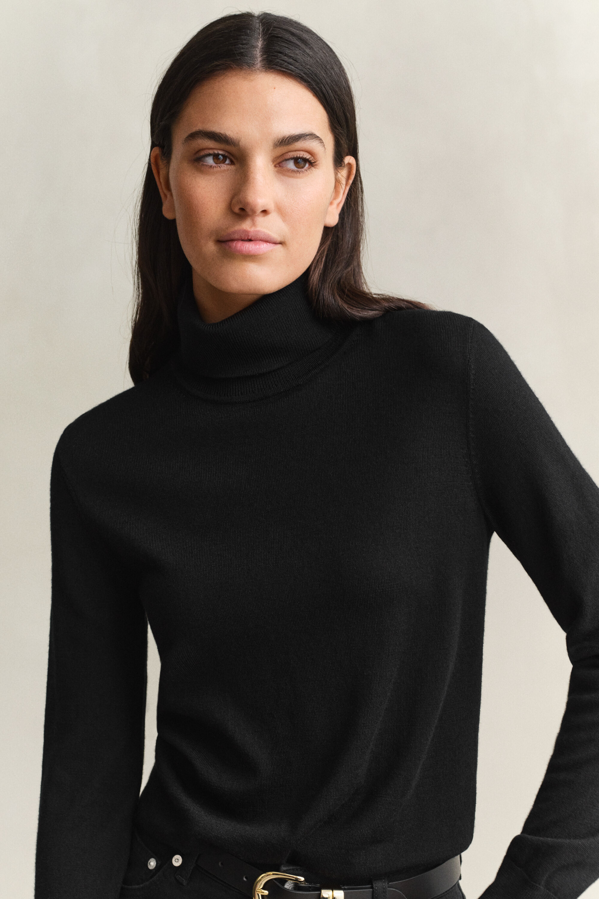 Extra Fine Merino Wool Turtleneck Sweater