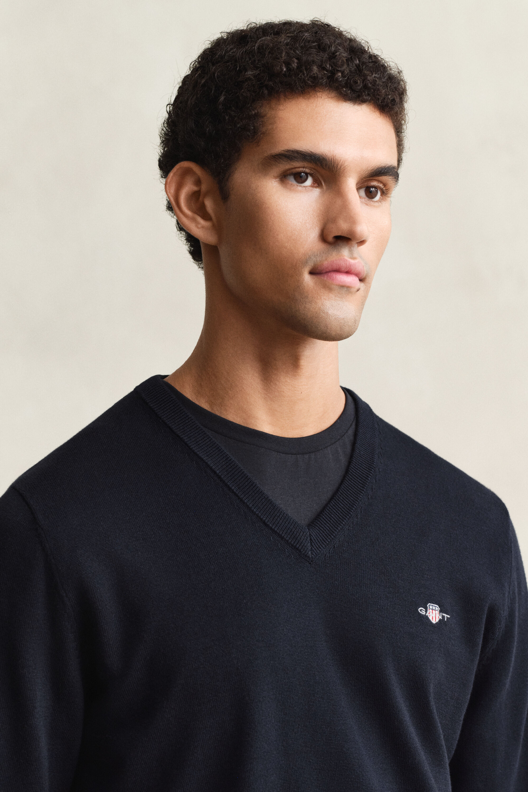 Classic Cotton V-Neck Sweater