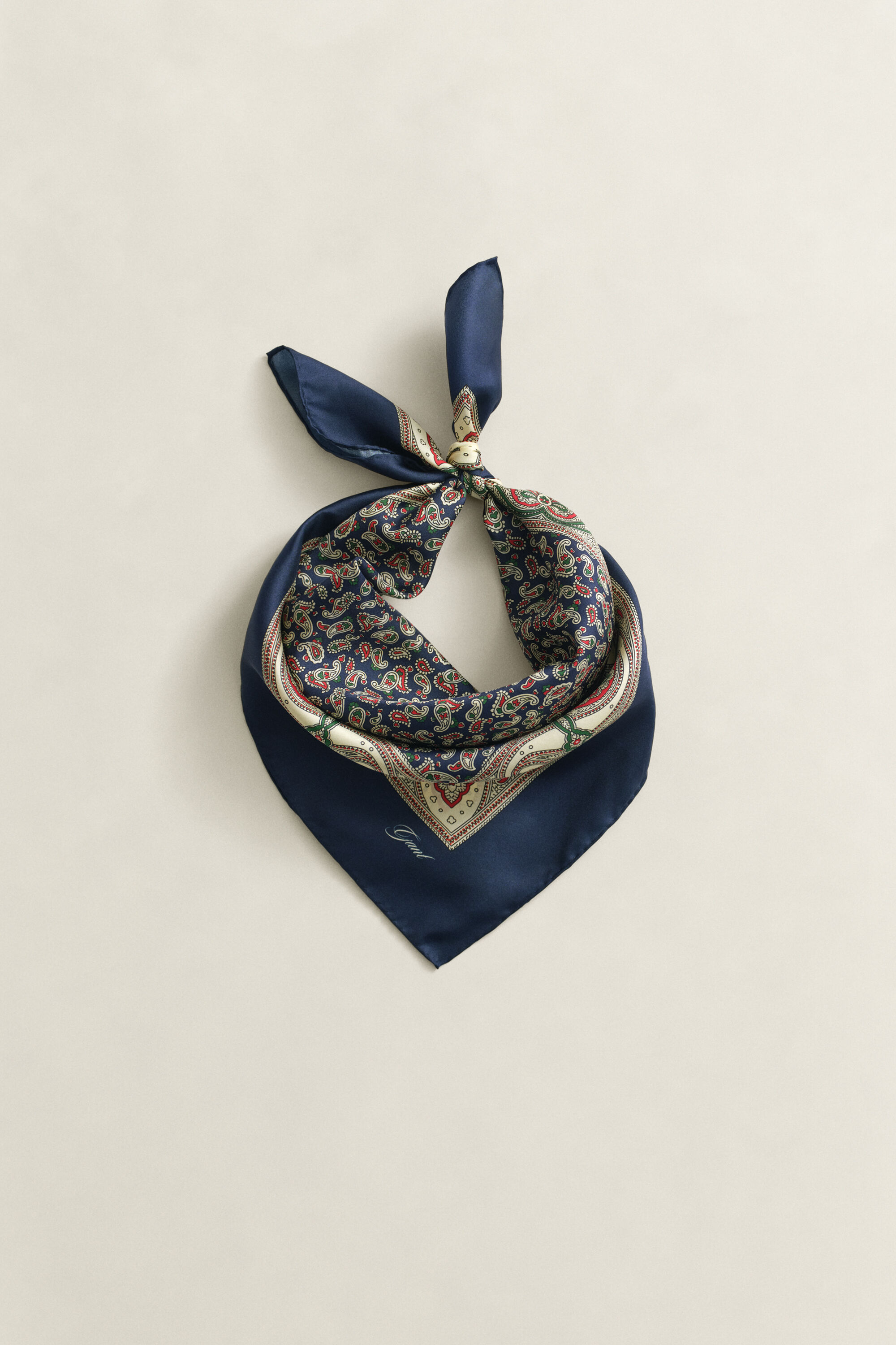 Paisley Scarf