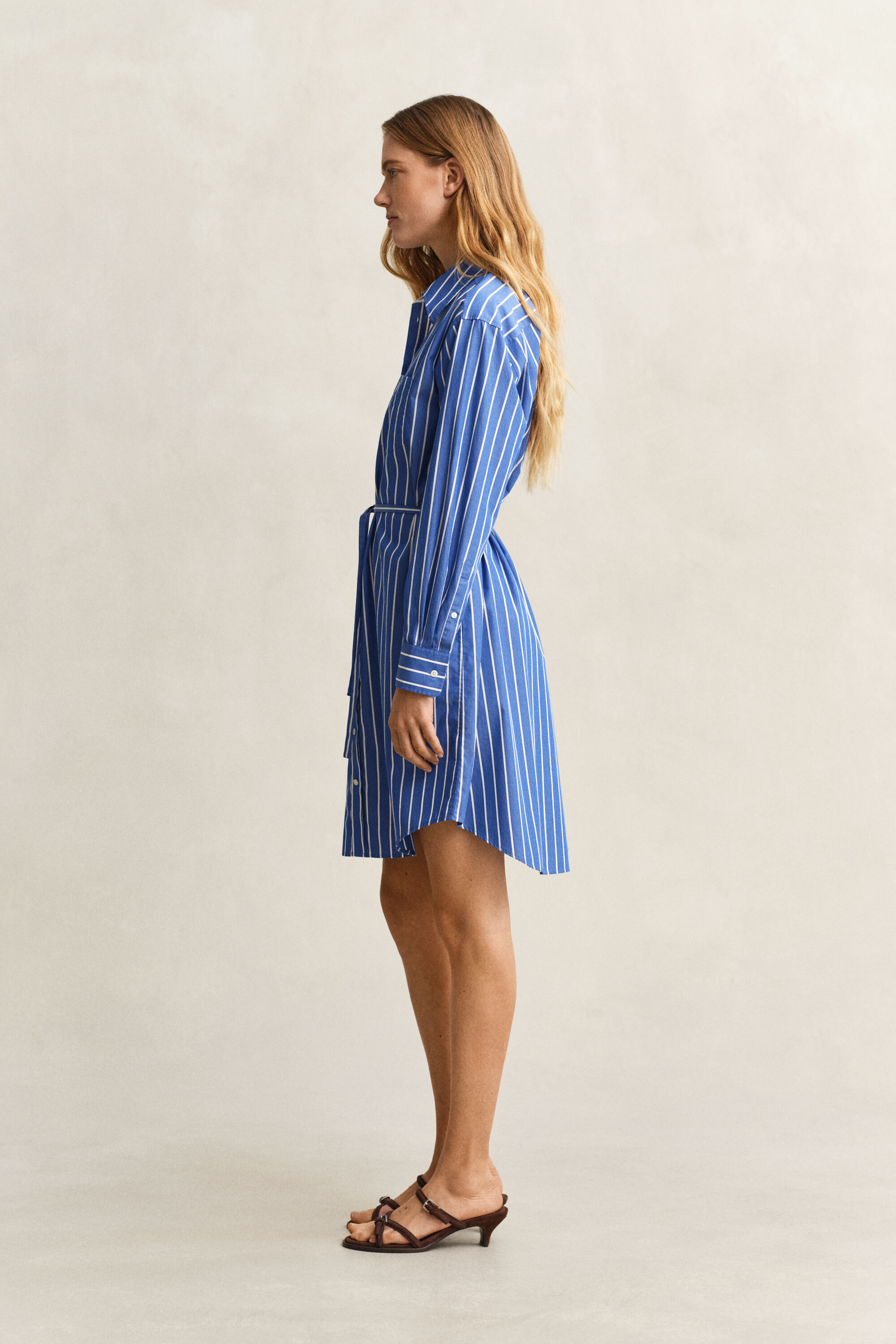 Striped Classic Poplin Dress