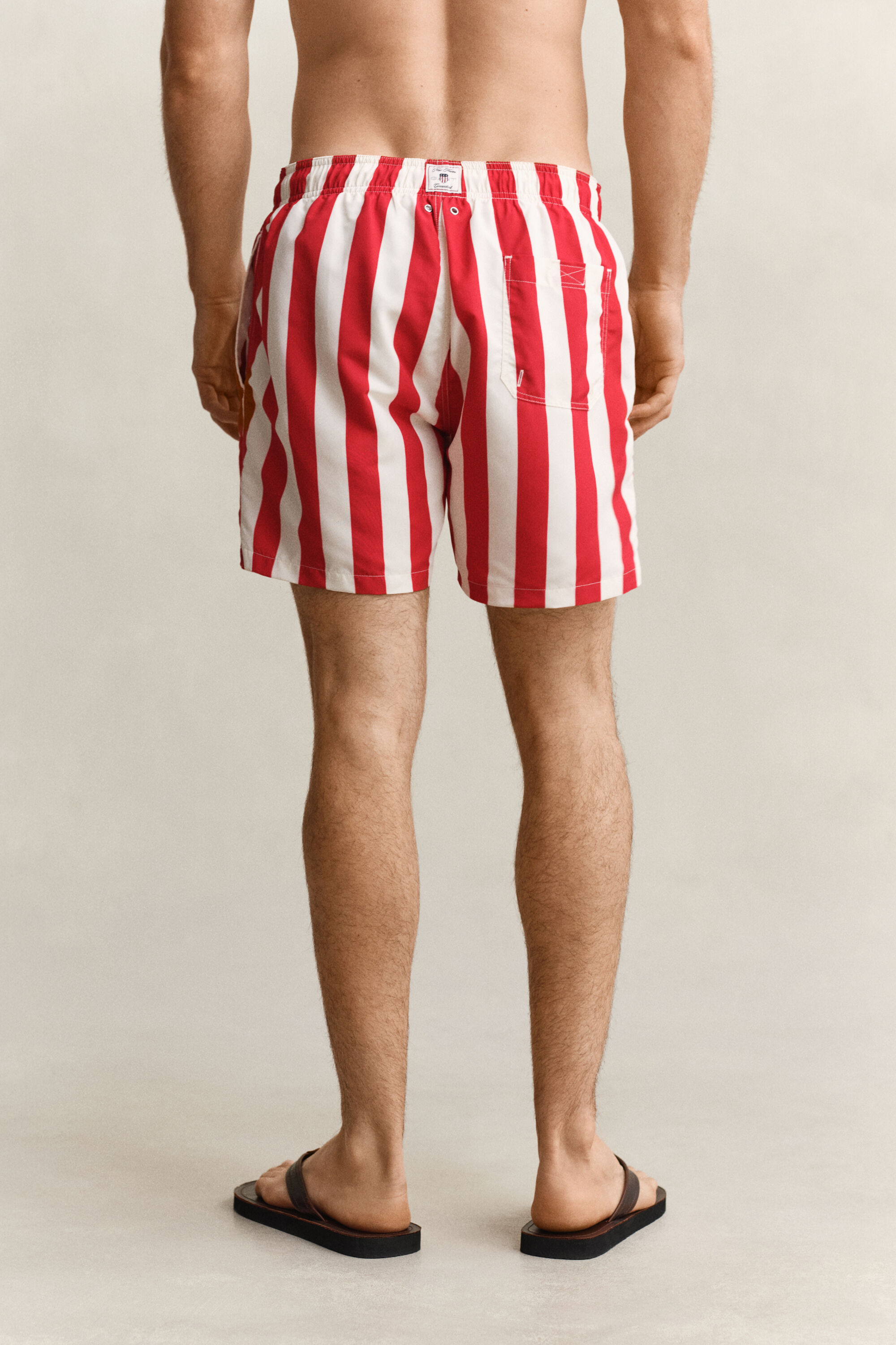 Block Striped Swim Shorts