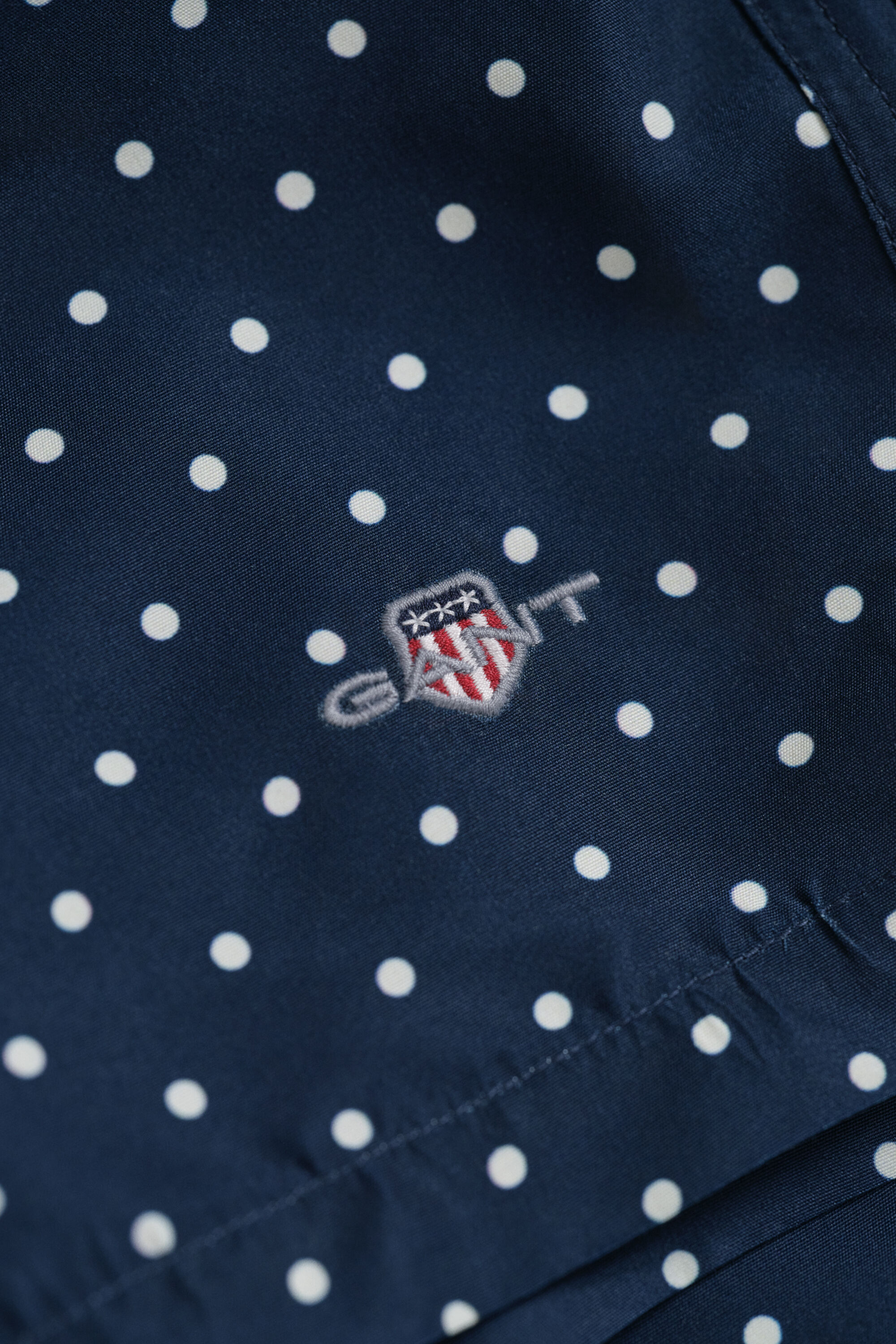 Dot Print Swim Shorts