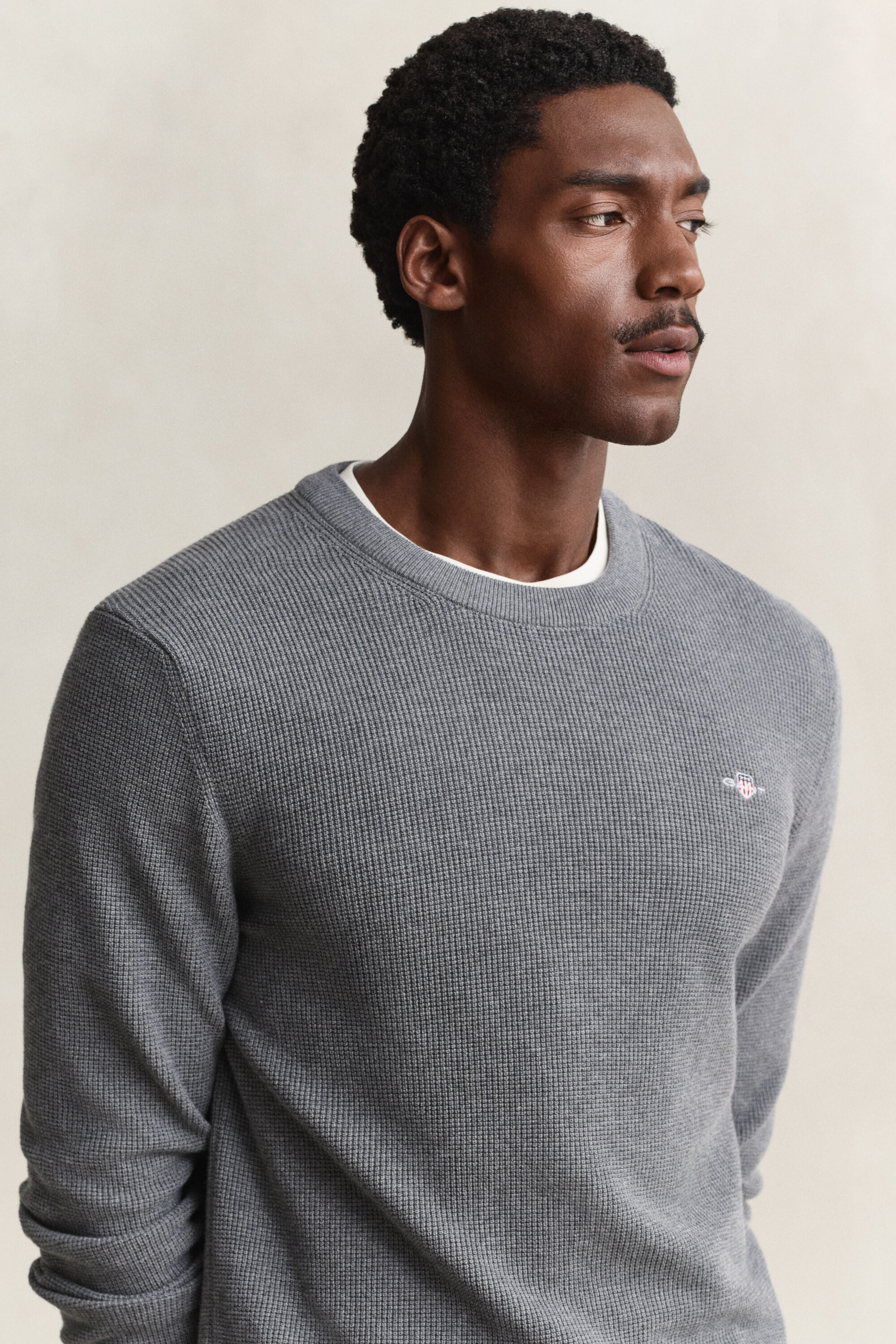 Textured Cotton Crew Neck Sweater