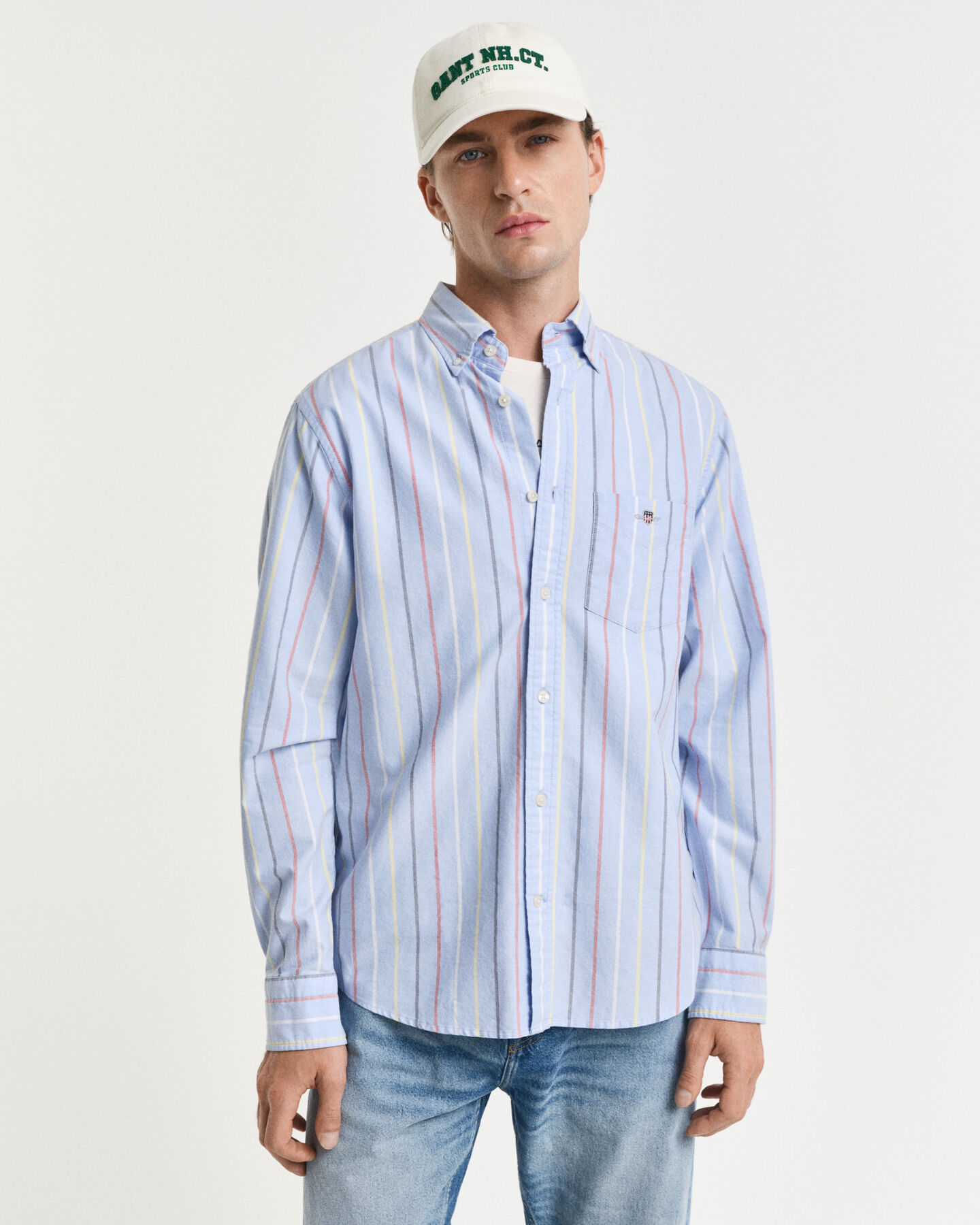 Regular Fit Multi Striped Classic Oxford Shirt