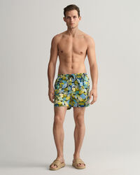 Classic Fit Tropical Print Swim Shorts