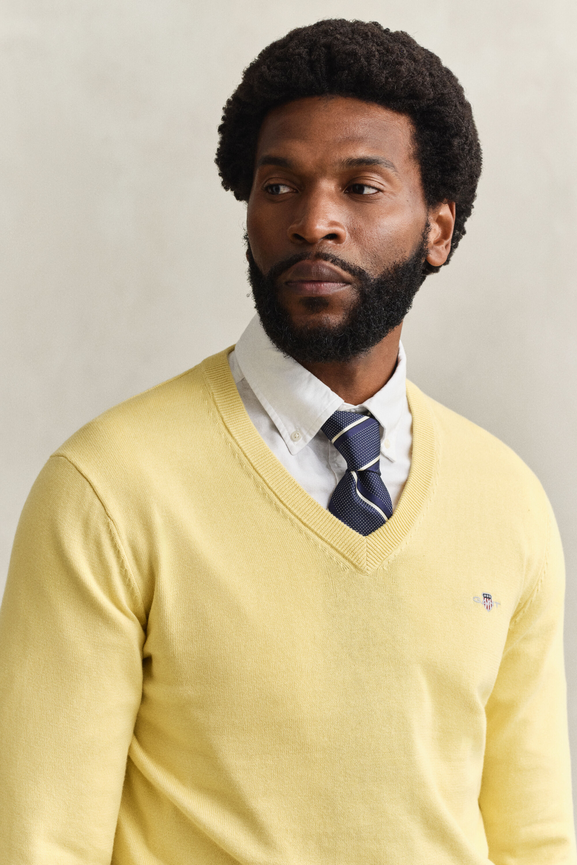 Classic Cotton V-Neck Sweater