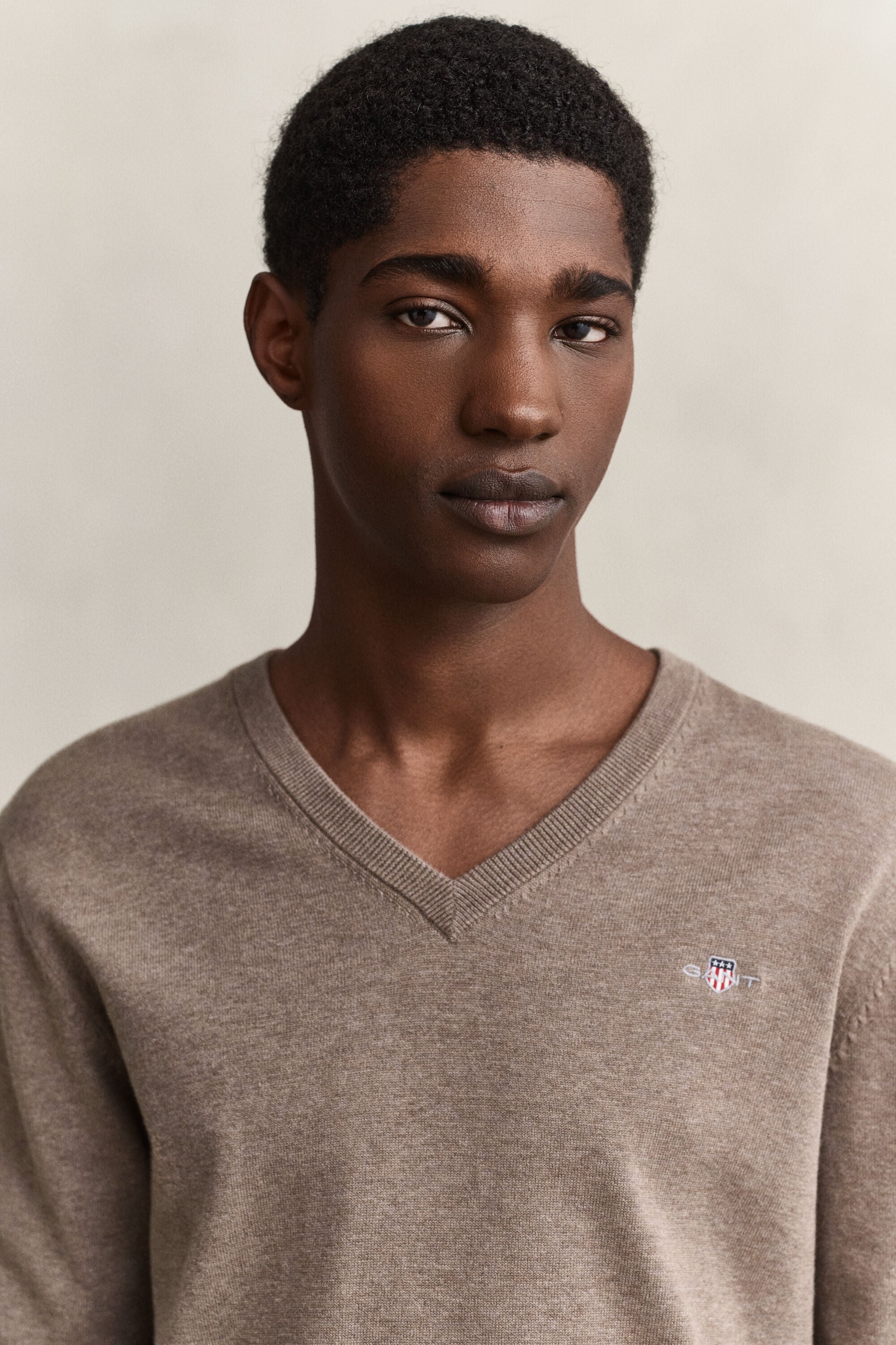 Classic Cotton V-Neck Sweater