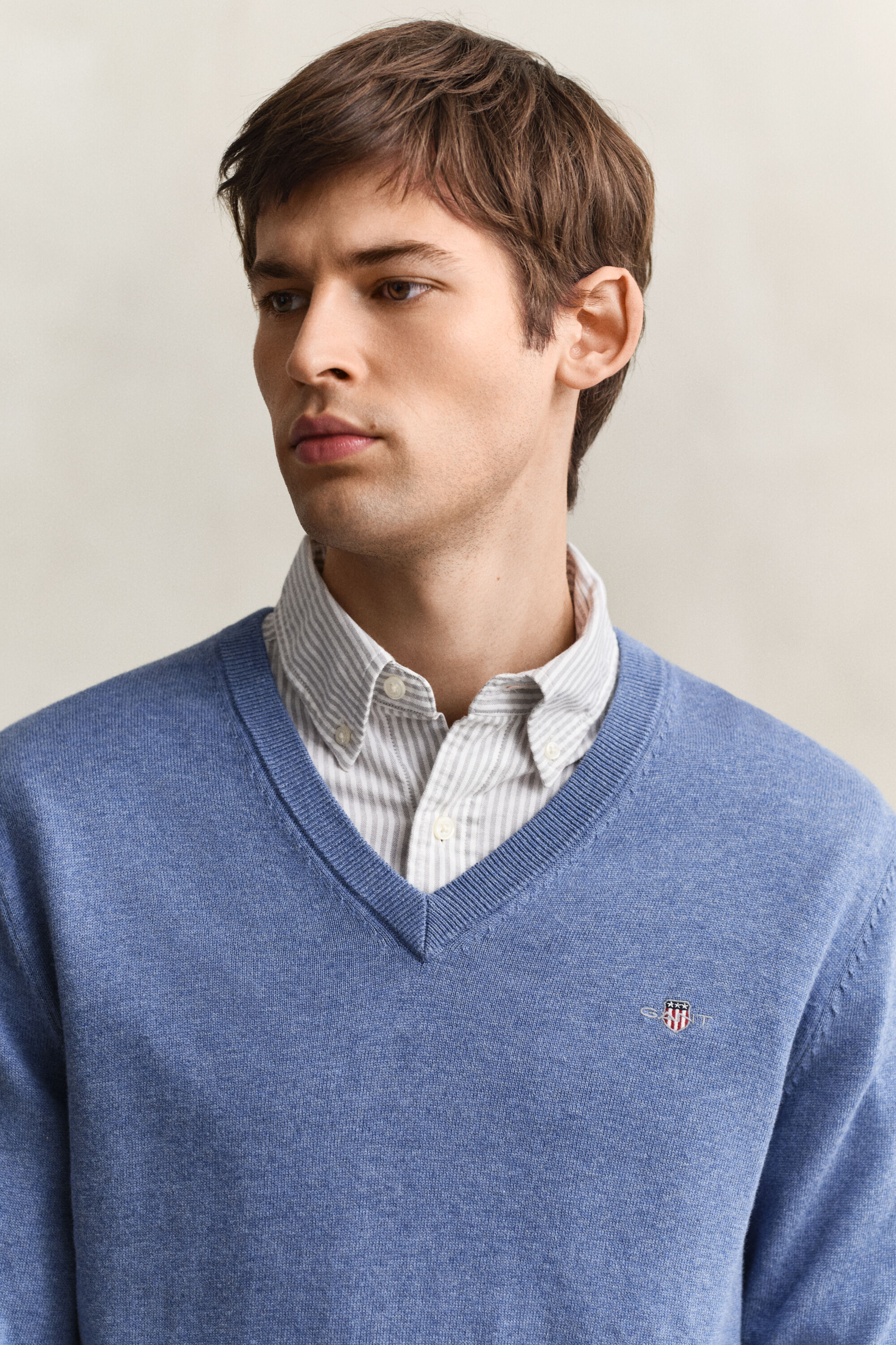 Classic Cotton V-Neck Sweater