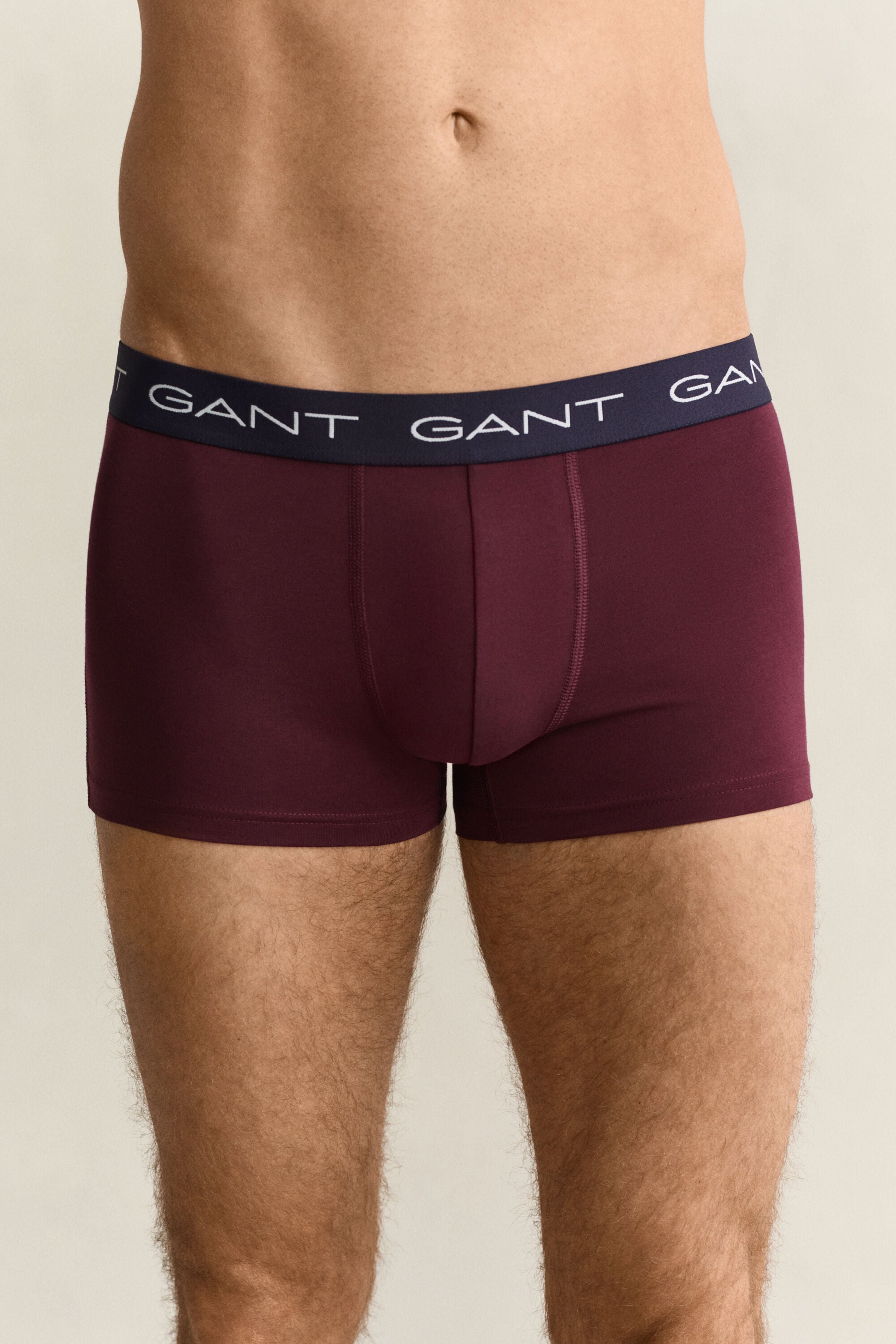 3-Pack Trunks