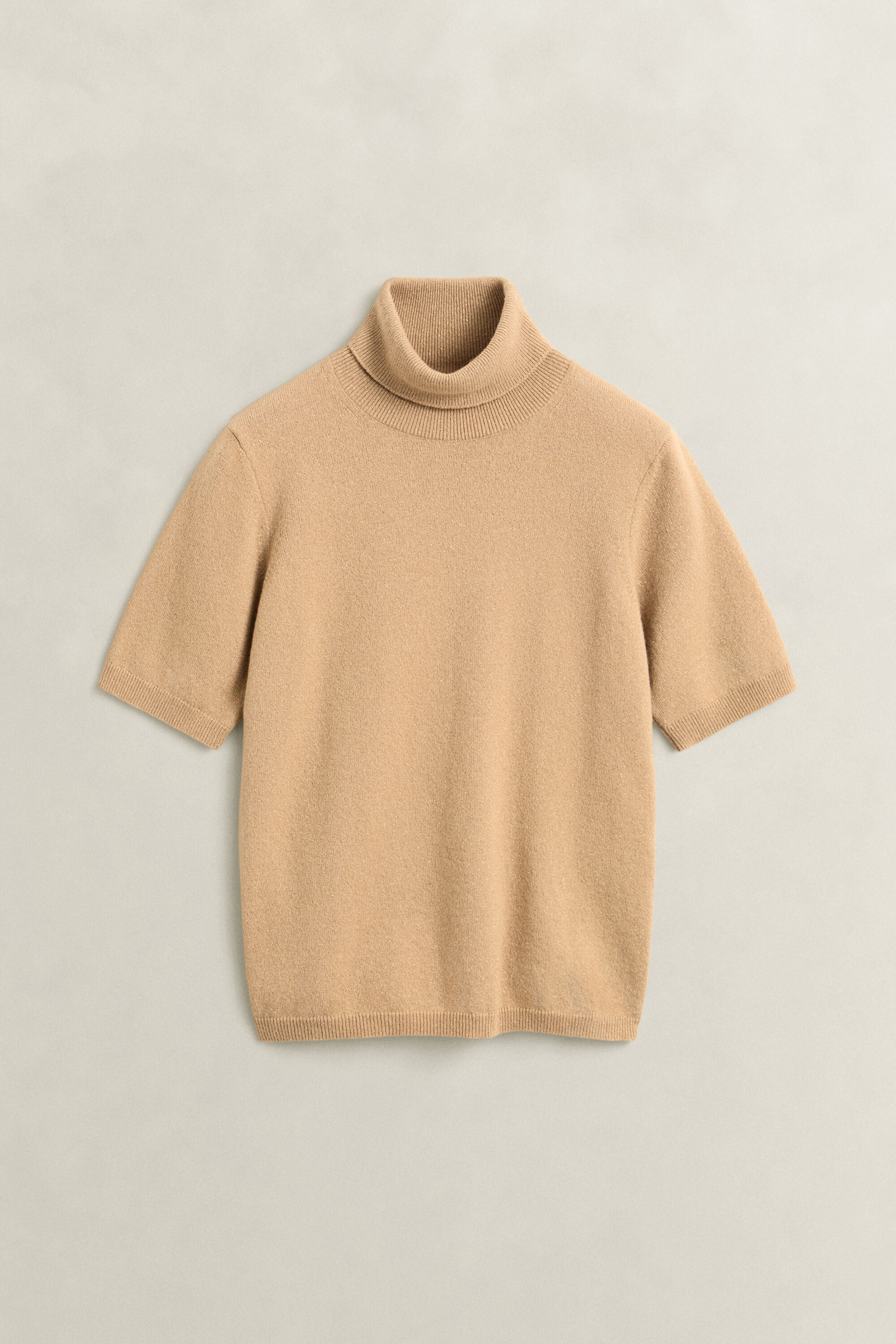 Metallic Wool Blend Turtleneck Sweater